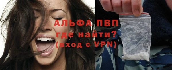 PSILOCYBIN Белокуриха