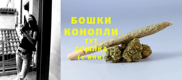 PSILOCYBIN Белокуриха