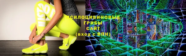 PSILOCYBIN Белокуриха