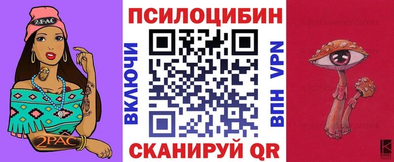 Галлюциногенные грибы Psilocybine cubensis Буйнакск